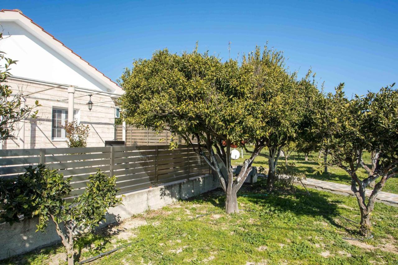 Faliraki Citrus Garden Exterior foto